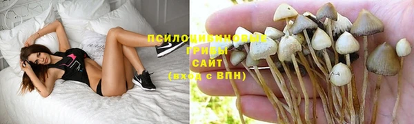 МДПВ Бикин