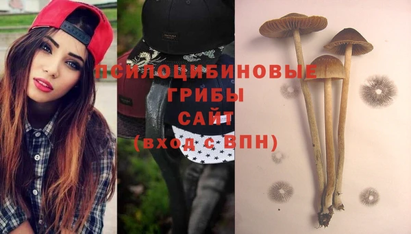 молекула духа Осташков