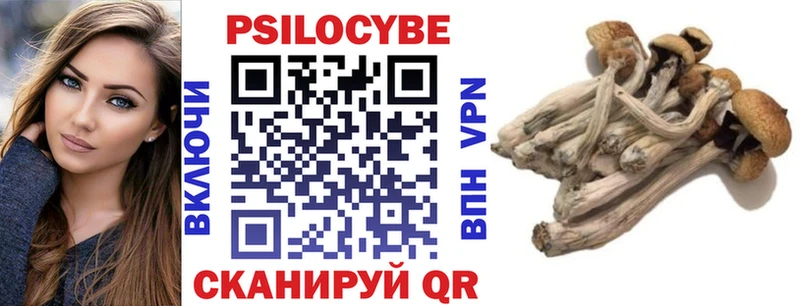 Галлюциногенные грибы Cubensis  ОМГ ОМГ ССЫЛКА  Шацк 